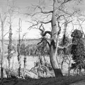 Chêne en hiver peinture numérique