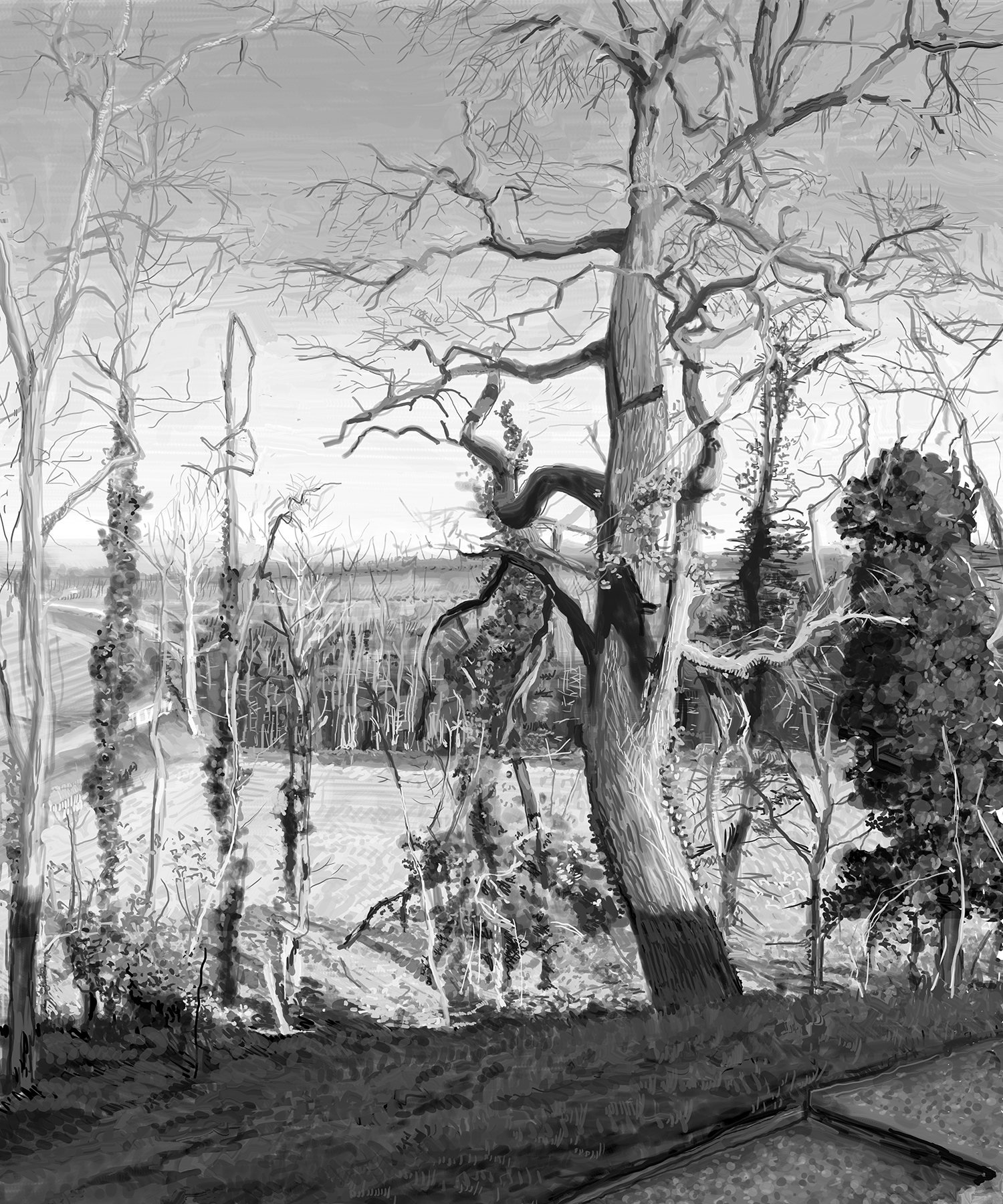 Chêne en hiver peinture numérique