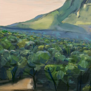 peinture numérique digital painting